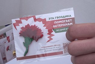 В Севастополе прошла Всероссийская акция «Красная гвоздика»